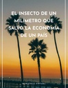 EL INSECTO DE UN MILÍMETRO QUE SALVÓ LA ECONOMÍA DE UN PAÍS