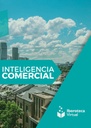 INTELIGENCIA COMERCIAL