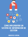 COMO IMPLEMENTAR UN SISTEMA DE INFORMACION DE GESTION