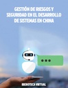 GESTIÓN DE RIESGOS Y SEGURIDAD EN EL DESARROLLO DE SISTEMAS EN CHINA