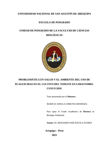 Problemática en salud y el ambiente del uso de plaguicidas en el cultivo del tomate en Limatambo