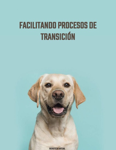 FACILITANDO PROCESOS DE TRANSICIÓN