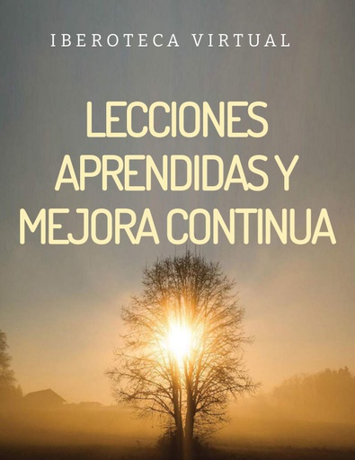 LECCIONES APRENDIDAS Y MEJORA CONTINUA
