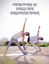 PRINCIPIOS DE DIRECCIÓN ORGANIZACIONAL