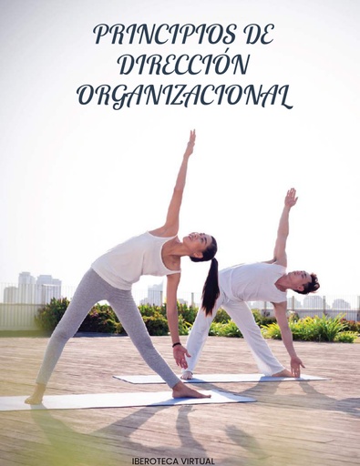 PRINCIPIOS DE DIRECCIÓN ORGANIZACIONAL