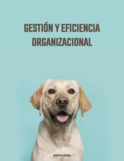GESTIÓN Y EFICIENCIA ORGANIZACIONAL