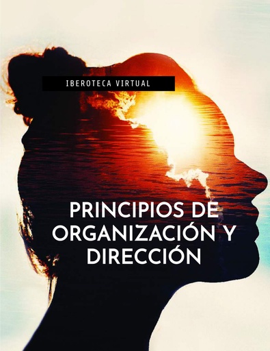 PRINCIPIOS DE ORGANIZACIÓN Y DIRECCIÓN