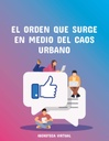 EL ORDEN QUE SURGE EN MEDIO DEL CAOS URBANO