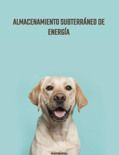 ALMACENAMIENTO SUBTERRÁNEO DE ENERGÍA