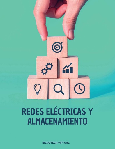 REDES ELÉCTRICAS Y ALMACENAMIENTO