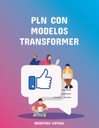 PLN CON MODELOS TRANSFORMER