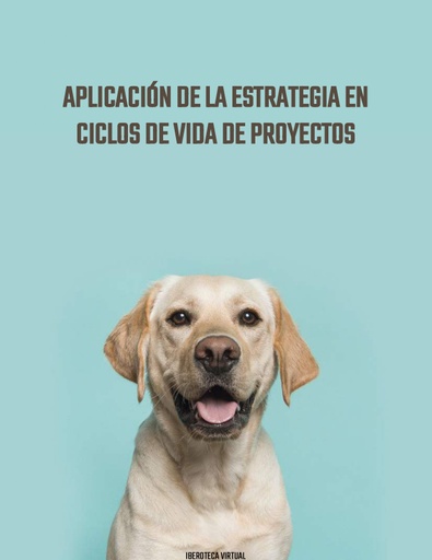 APLICACIÓN DE LA ESTRATEGIA EN CICLOS DE VIDA DE PROYECTOS