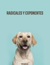 RADICALES Y EXPONENTES