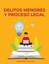 DELITOS MENORES Y PROCESO LEGAL