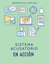 SISTEMA ACUSATORIO EN ACCIÓN