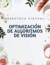 OPTIMIZACIÓN DE ALGORITMOS DE VISIÓN