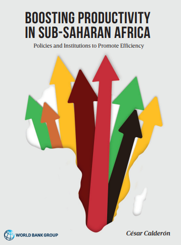 Boosting Productivity in Sub-Saharan Africa