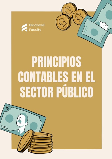 PRINCIPIOS CONTABLES EN EL SECTOR PÚBLICO