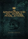 LA ADMINISTRACIÓN DEL SISTEMA PENAL JUVENIL