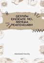 GESTIÓN EFICIENTE DEL SISTEMA PENITENCIARIO