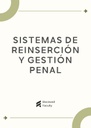 SISTEMAS DE REINSERCIÓN Y GESTIÓN PENAL