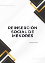 REINSERCIÓN SOCIAL DE MENORES