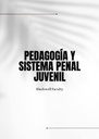 PEDAGOGÍA Y SISTEMA PENAL JUVENIL