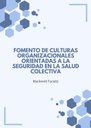 FOMENTO DE CULTURAS ORGANIZACIONALES ORIENTADAS A LA SEGURIDAD EN LA SALUD COLECTIVA