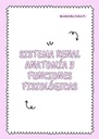 SISTEMA RENAL ANATOMÍA Y FUNCIONES FISIOLÓGICAS