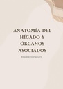 ANATOMÍA DEL HÍGADO Y ÓRGANOS ASOCIADOS