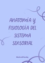 ANATOMÍA Y FISIOLOGÍA DEL SISTEMA SENSORIAL