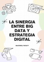 LA SINERGIA ENTRE BIG DATA Y ESTRATEGIA DIGITAL