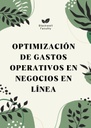 OPTIMIZACIÓN DE GASTOS OPERATIVOS EN NEGOCIOS EN LÍNEA