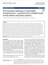 Five transition pathways to renewable energy futures-scenarios from a Delphi study on key drivers and policy options