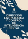 DIRECCION ESTRATEGICA Y CONTROL DE INTELIGENCIA DIGITAL