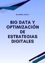 BIG DATA Y OPTIMIZACIÓN DE ESTRATEGIAS DIGITALES