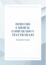DERECHO LABORAL COMPARADO Y TELETRABAJO