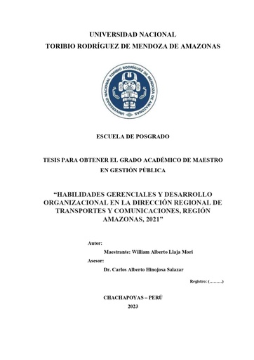 Habilidades gerenciales y desarrollo organizacional en la dirección regional de transportes y comunicaciones, región Amazonas, 2021.