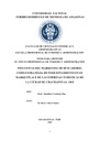 Influencia del marketing de buscadores como estrategia de posicionamiento en el marketplace de las empresas turísticas de la ciudad de Chachapoyas- 2018
