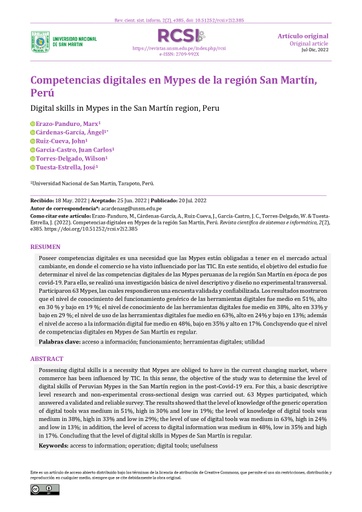 Digital skills in Mypes in the San Martín region, Peru