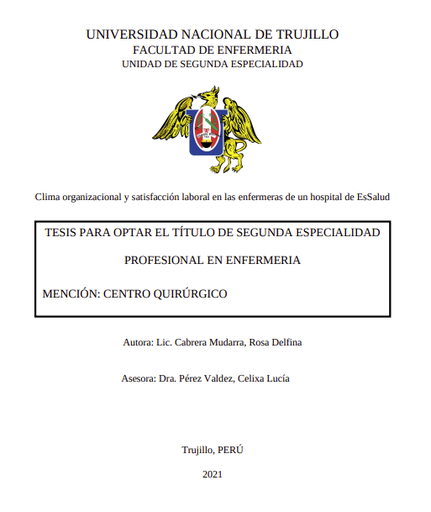 Clima organizacional y satisfacción laboral en las enfermeras de un hospital de EsSaludS