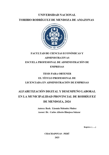 Alfabetización digital y desempeño laboral en la municipalidad provincial de Rodríguez de Mendoza, 2024