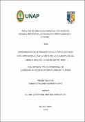 Determinación de herramientas publicitarias digitales para internacionalizar la venta del ají charapita en una empresa privada, ciudad de Iquitos, Perú