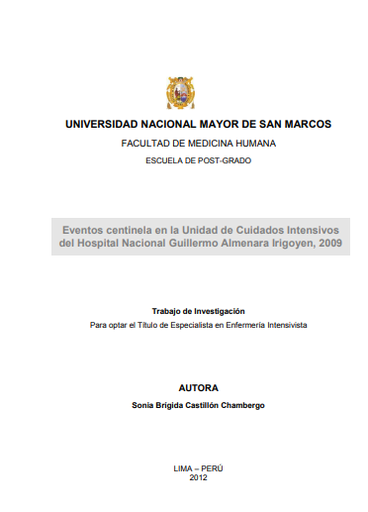 Eventos centinela en la Unidad de Cuidados Intensivos del Hospital Nacional Guillermo Almenara Irigoyen, 2009