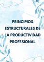 PRINCIPIOS ESTRUCTURALES DE LA PRODUCTIVIDAD PROFESIONAL