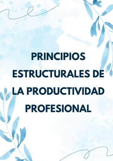 PRINCIPIOS ESTRUCTURALES DE LA PRODUCTIVIDAD PROFESIONAL