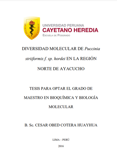 Diversidad molecular de Puccinia striiformis f. sp. hordei en la región norte de Ayacucho