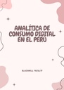 ANALÍTICA DE CONSUMO DIGITAL EN EL PERÚ