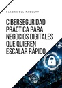 CIBERSEGURIDAD PRÁCTICA PARA NEGOCIOS DIGITALES QUE QUIEREN ESCALAR RÁPIDO