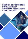 GESTIÓN DE PROYECTOS DIGITALES PARA AUMENTAR RESULTADOS Y RENTABILIDAD